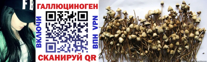 Купить закладки  Суоярви  Галлюциногенные грибы мухоморы 